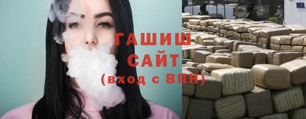 стаф Алзамай