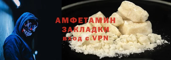 стаф Алзамай