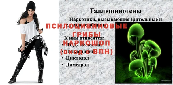 дживик Алексин