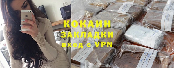 дживик Алексин