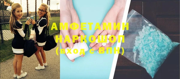 стаф Алзамай