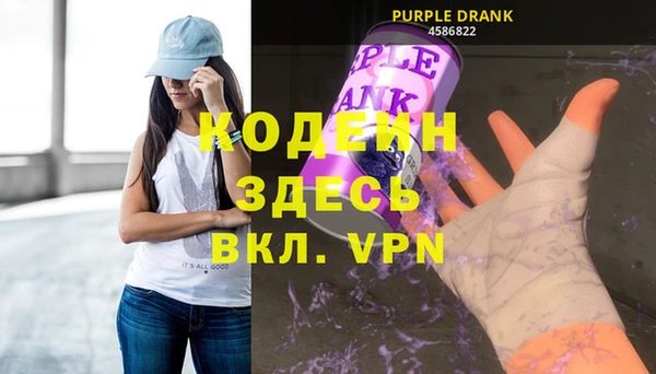 стаф Алзамай