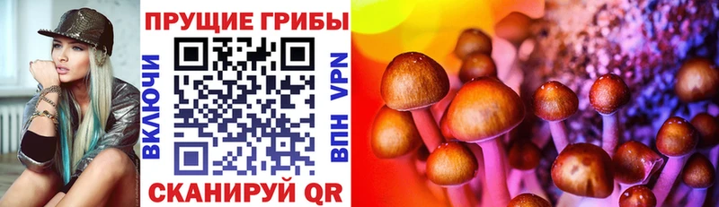 Галлюциногенные грибы Cubensis  блэк спрут онион  Краснообск 